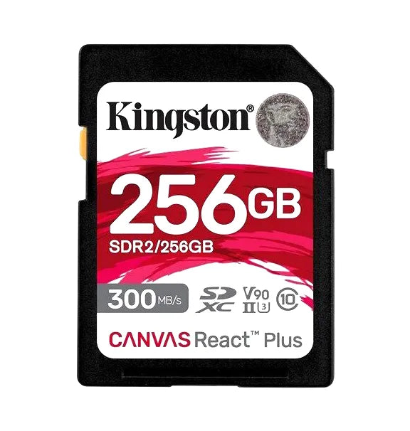 SDR2/256GB
