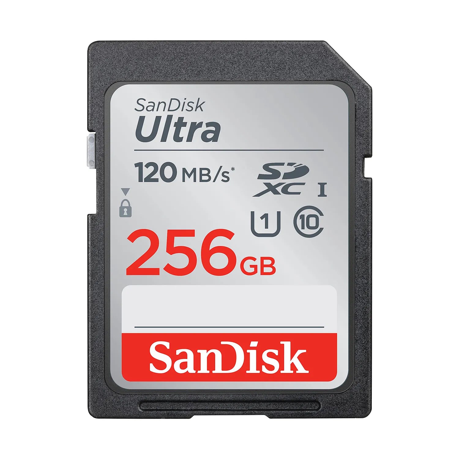 SDSDUN4-256G-GN6IN