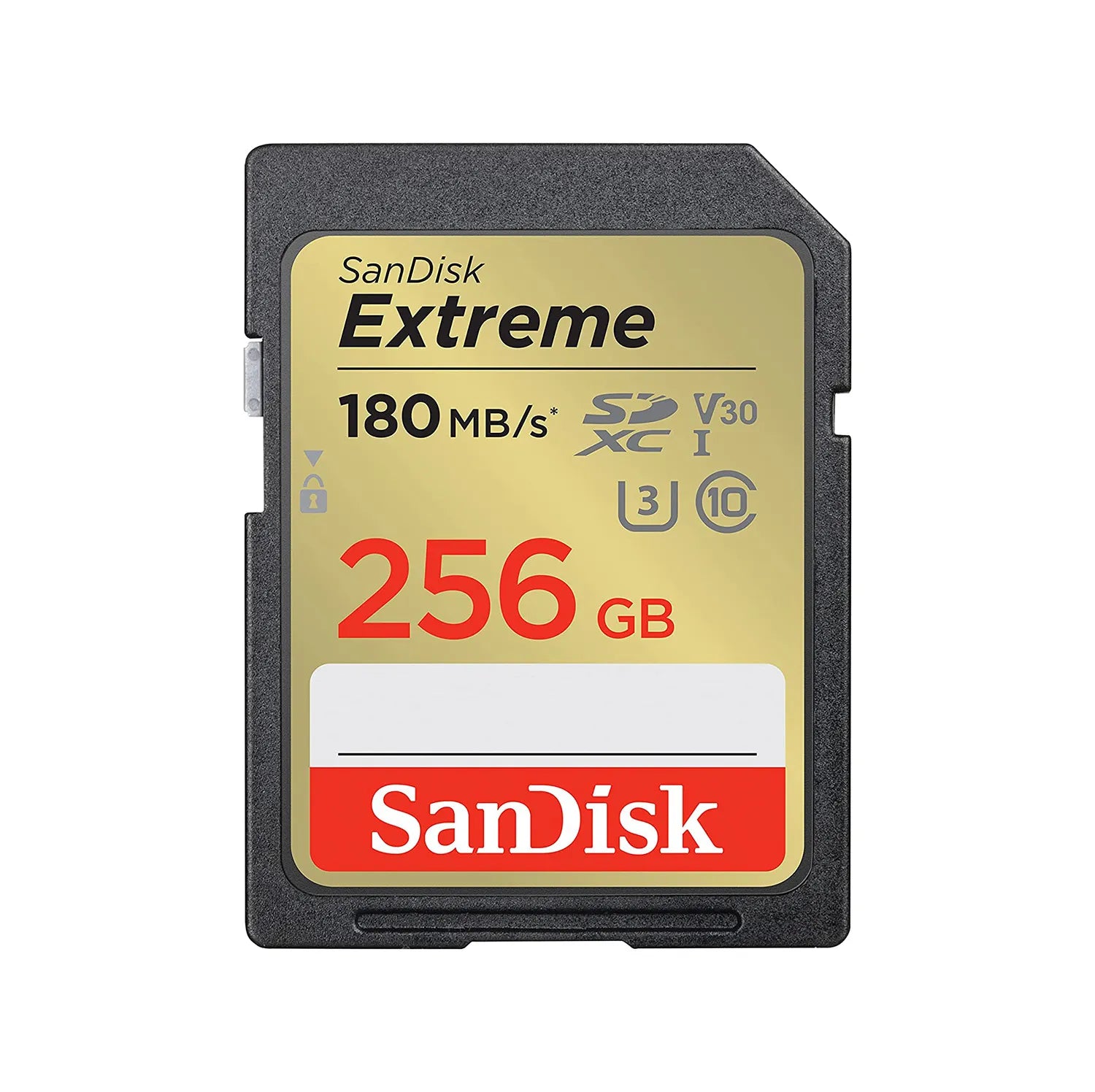 SDSDXVV-256G-ANCIN