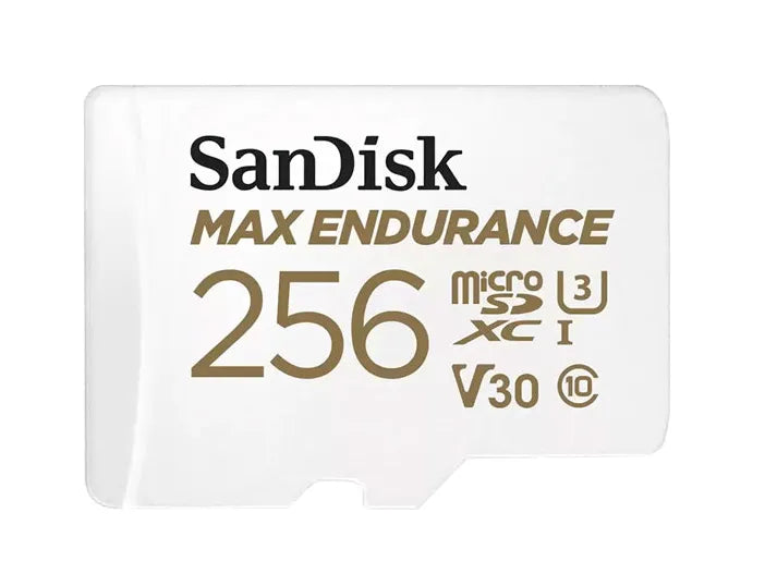 SDSQQVR-256G-AN6IA