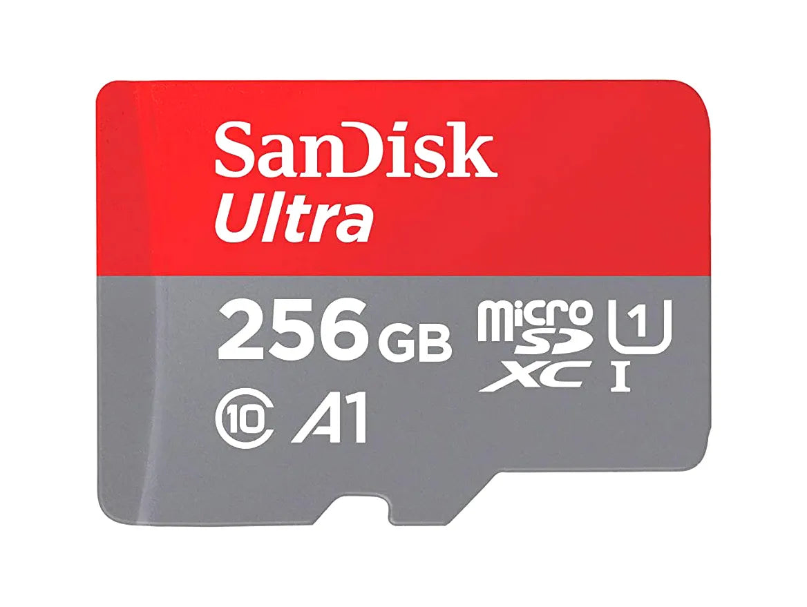 SDSQUA4-256G