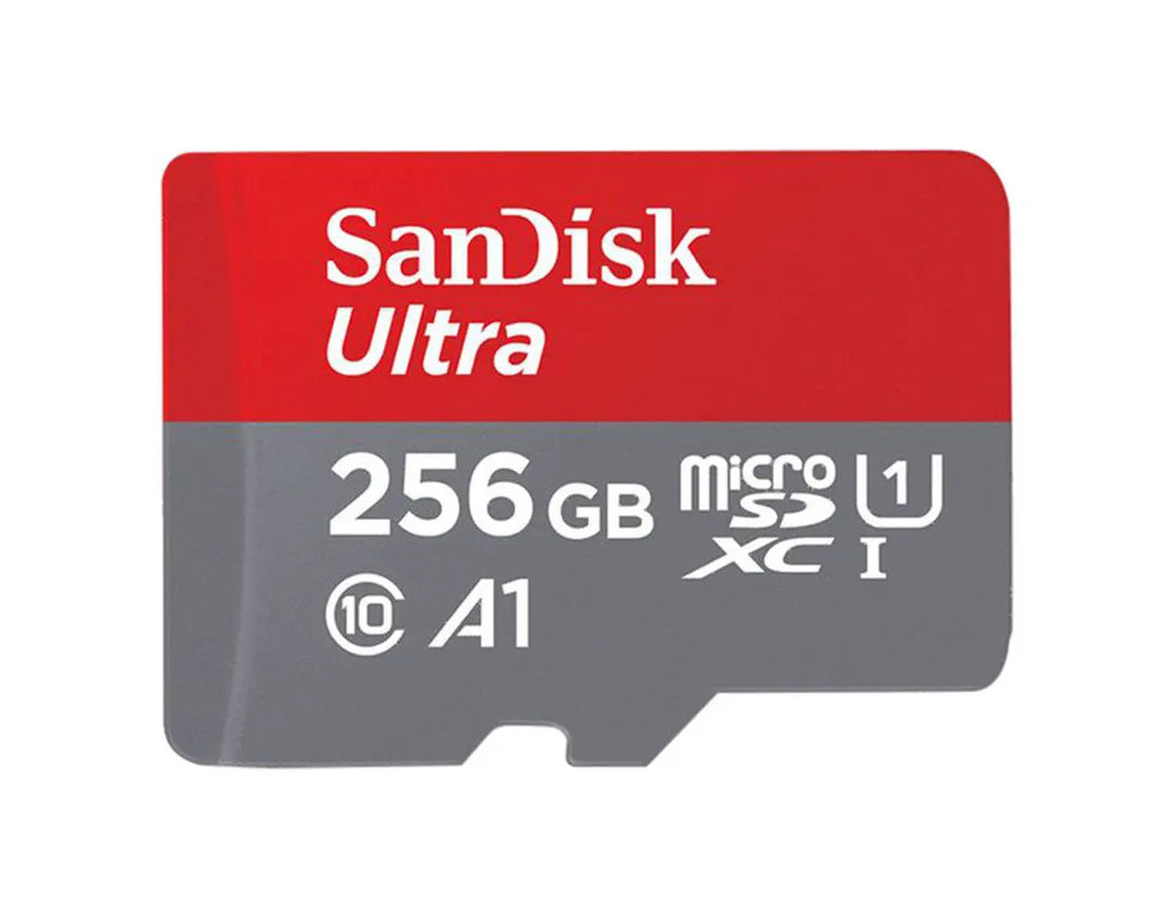 SDSQUAR-256G