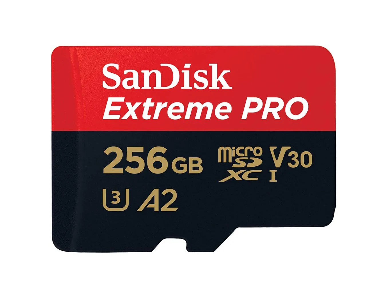 SDSQXCD-256G